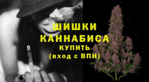 эйфоретик Верея