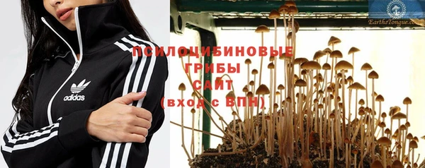 гидропоника Верхний Тагил