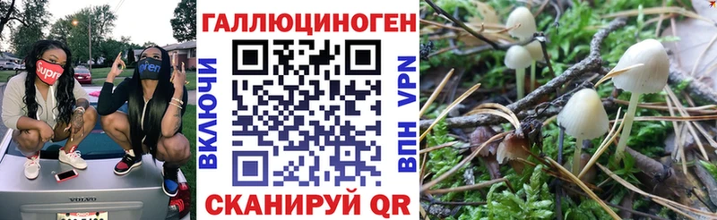Псилоцибиновые грибы прущие грибы  Каменск-Шахтинский 